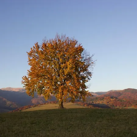 Essi Tále- Chopok Apartman *